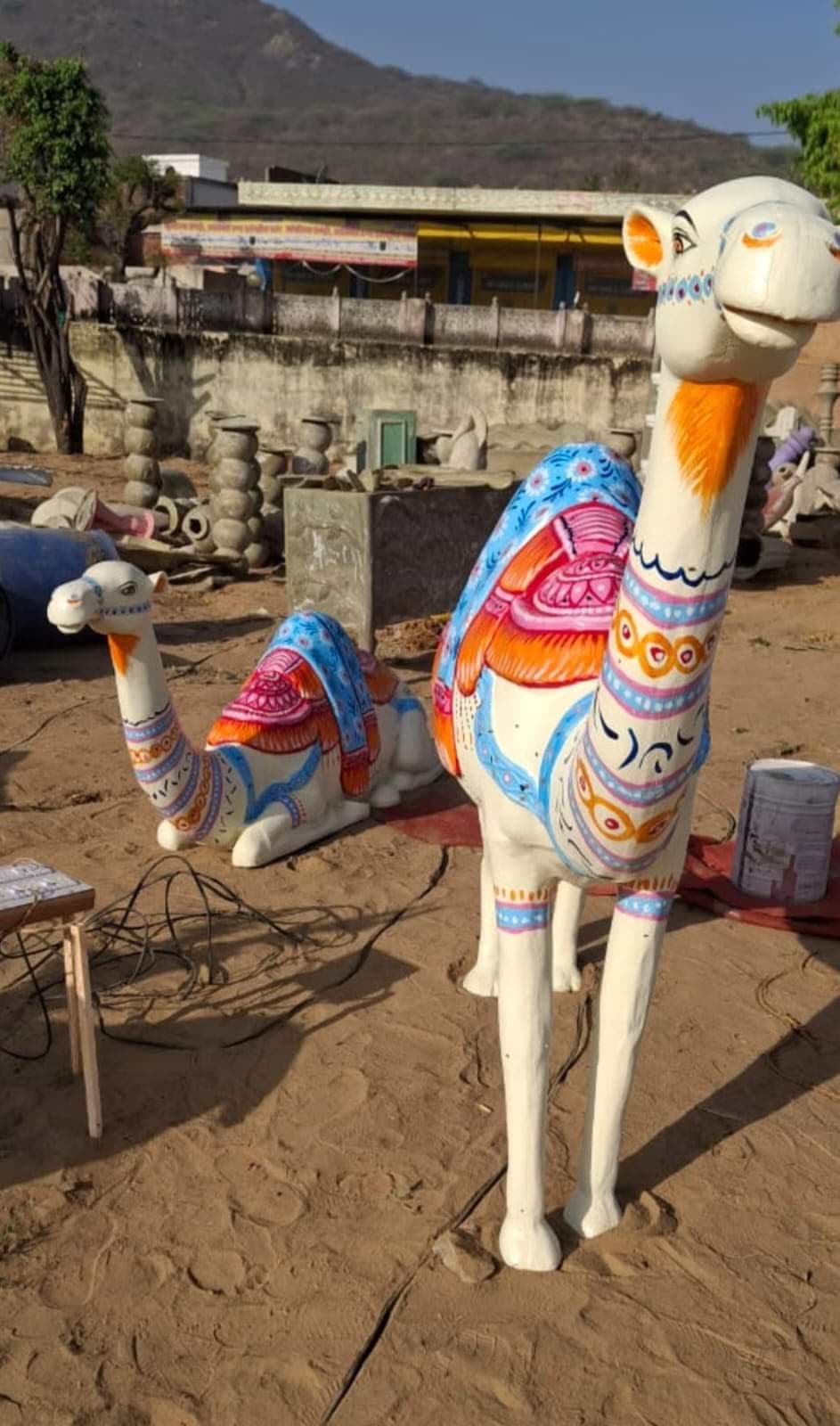 Camel Set